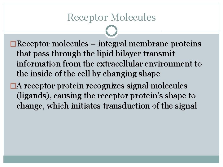 Receptor Molecules �Receptor molecules – integral membrane proteins that pass through the lipid bilayer