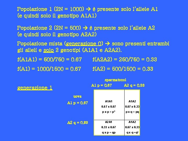 Popolazione 1 (2 N = 1000) è presente solo l’allele A 1 (e quindi