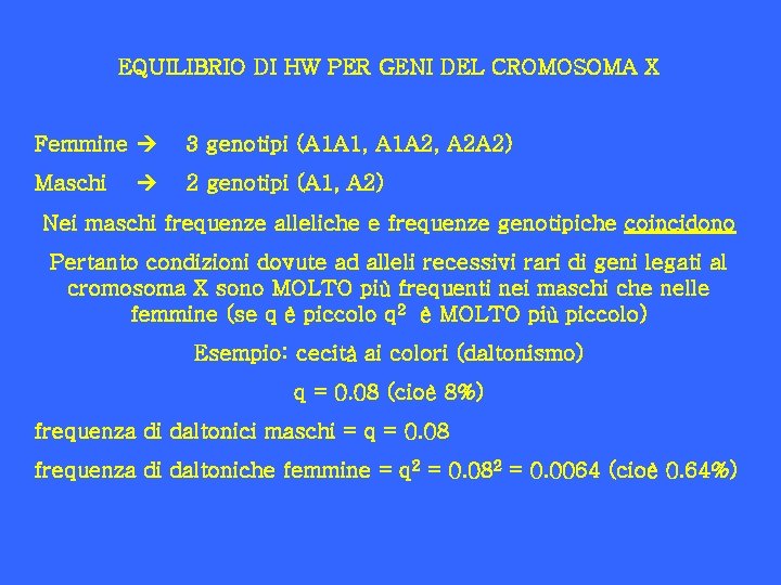 EQUILIBRIO DI HW PER GENI DEL CROMOSOMA X Femmine Maschi 3 genotipi (A 1