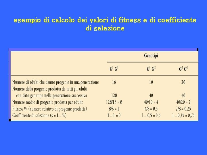 esempio di calcolo dei valori di fitness e di coefficiente di selezione 