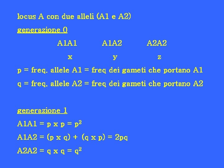 locus A con due alleli (A 1 e A 2) generazione 0 A 1