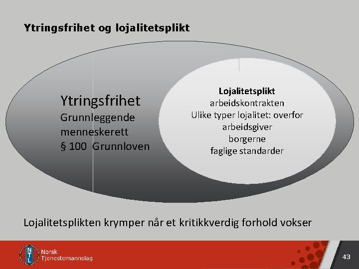 Ytringsfrihet og lojalitetsplikt Ytringsfrihet Grunnleggende menneskerett § 100 Grunnloven Lojalitetsplikt arbeidskontrakten Ulike typer lojalitet: