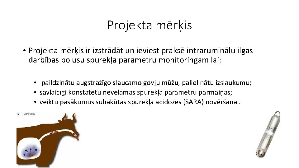 Projekta mērķis • Projekta mērķis ir izstrādāt un ieviest praksē intraruminālu ilgas darbības bolusu