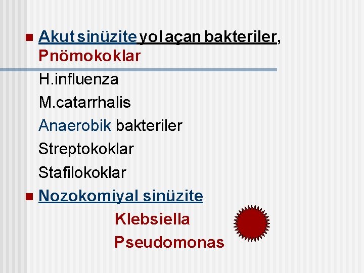 Akut sinüzite yol açan bakteriler, Pnömokoklar H. influenza M. catarrhalis Anaerobik bakteriler Streptokoklar Stafilokoklar