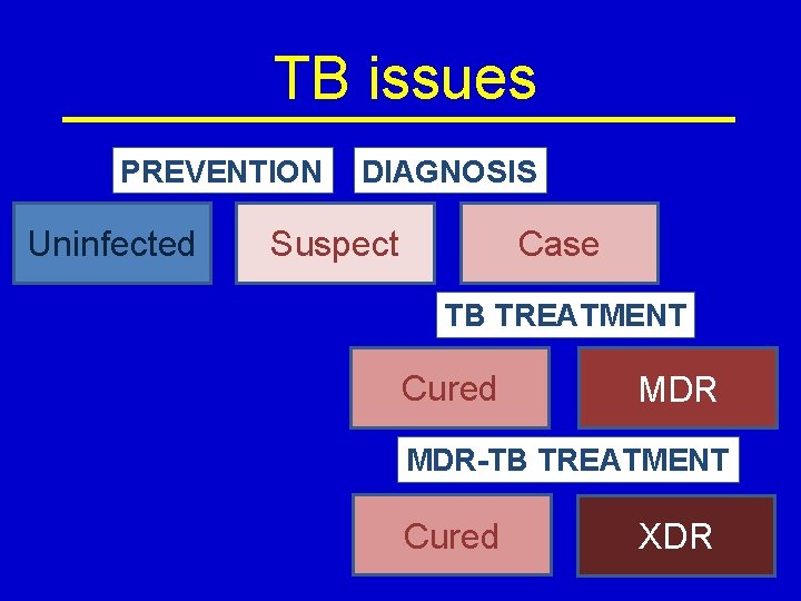 TB issues PREVENTION Uninfected DIAGNOSIS Suspect Case TB TREATMENT Cured MDR-TB TREATMENT Cured XDR