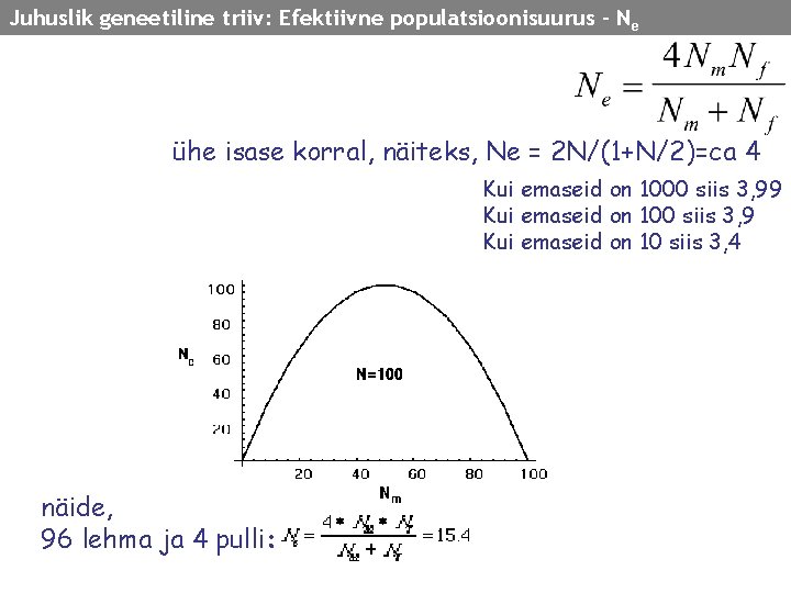 Juhuslik geneetiline triiv: Efektiivne populatsioonisuurus - N e ühe isase korral, näiteks, Ne =