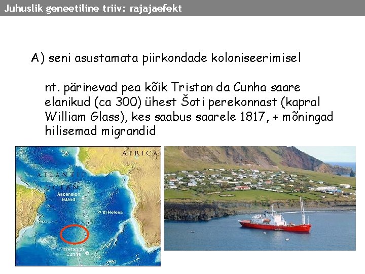 Juhuslik geneetiline triiv: rajajaefekt A) seni asustamata piirkondade koloniseerimisel nt. pärinevad pea kõik Tristan