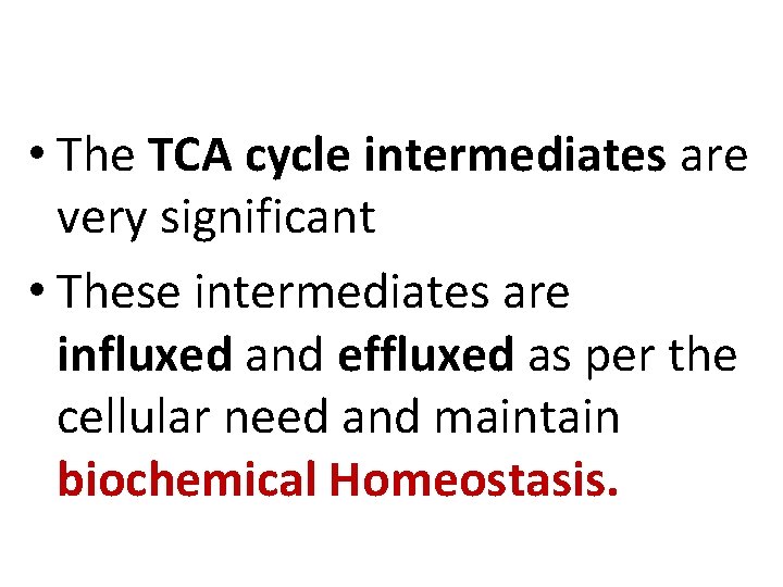  • The TCA cycle intermediates are very significant • These intermediates are influxed