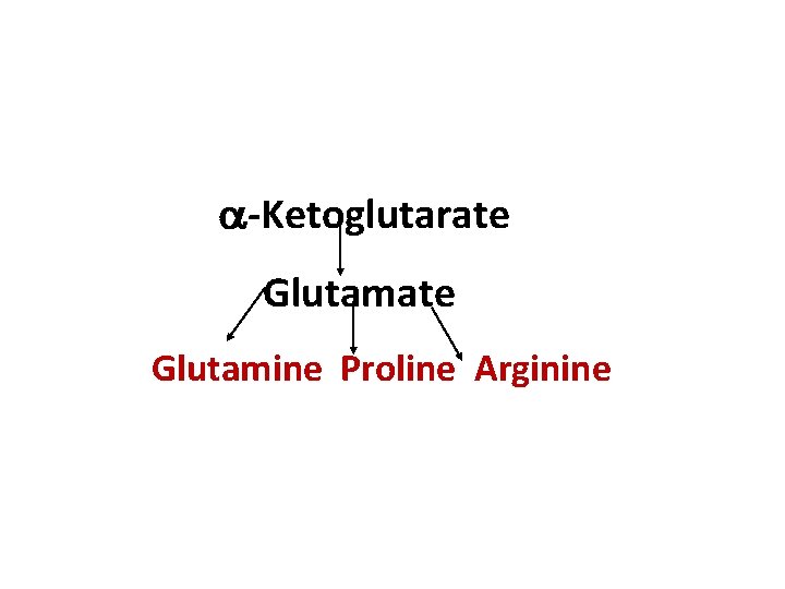 a-Ketoglutarate Glutamine Proline Arginine 