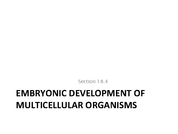 Section 18. 4 EMBRYONIC DEVELOPMENT OF MULTICELLULAR ORGANISMS 