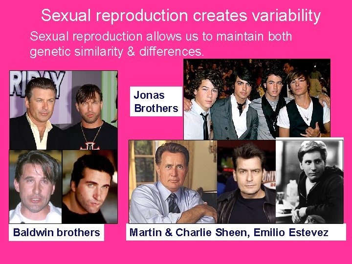 Sexual reproduction creates variability Sexual reproduction allows us to maintain both genetic similarity &