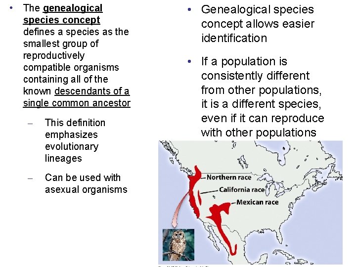  • The genealogical species concept defines a species as the smallest group of