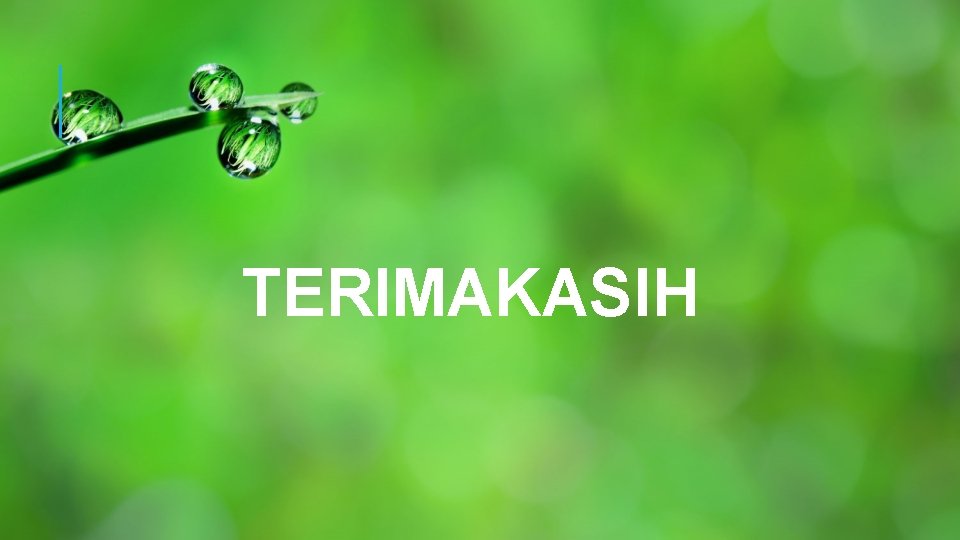 TERIMAKASIH 