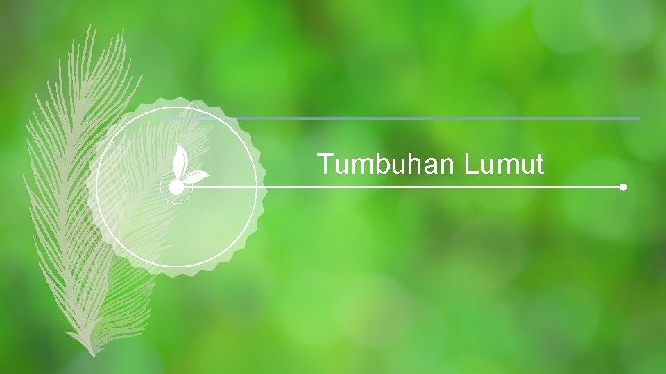 Tumbuhan Lumut 