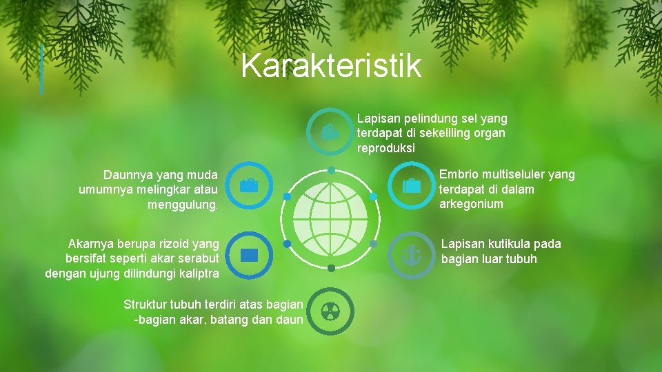 Karakteristik Lapisan pelindung sel yang terdapat di sekeliling organ reproduksi Daunnya yang muda umumnya