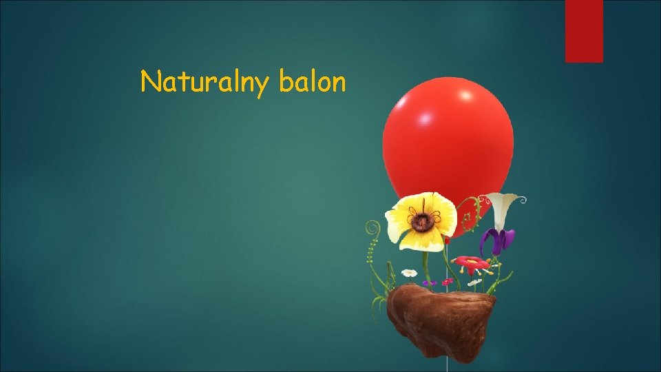 Naturalny balon 