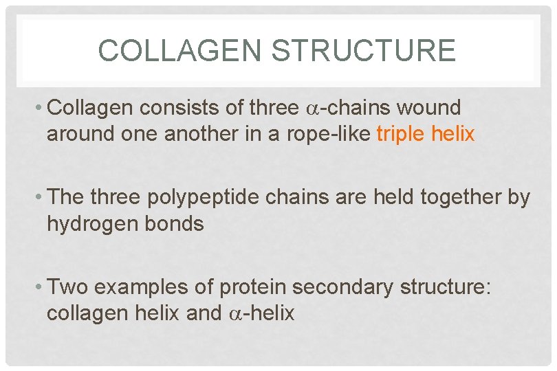 COLLAGEN STRUCTURE • Collagen consists of three a-chains wound around one another in a