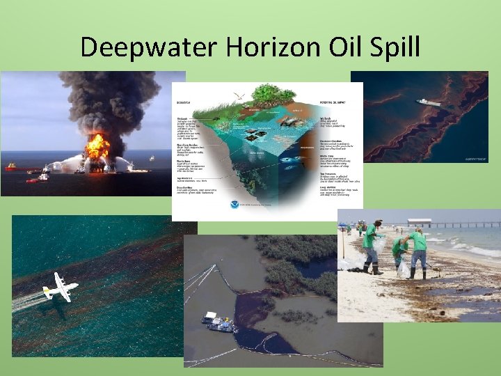 Deepwater Horizon Oil Spill 