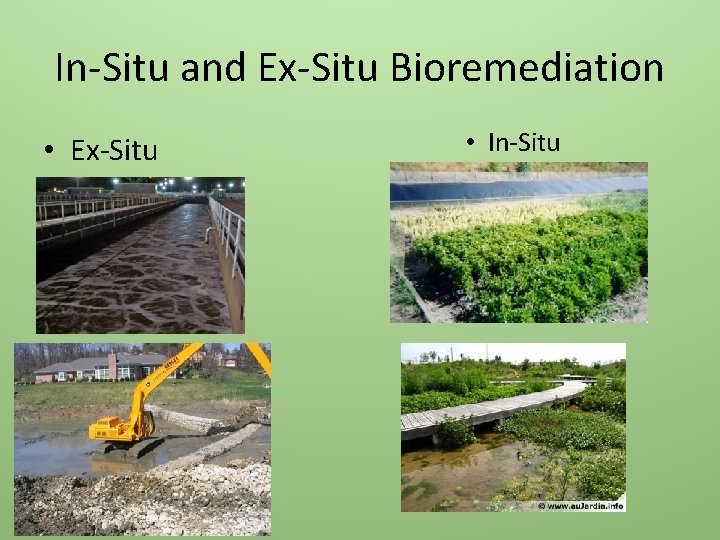 In-Situ and Ex-Situ Bioremediation • Ex-Situ • In-Situ 