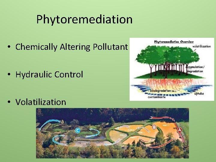 Phytoremediation • Chemically Altering Pollutant • Hydraulic Control • Volatilization 
