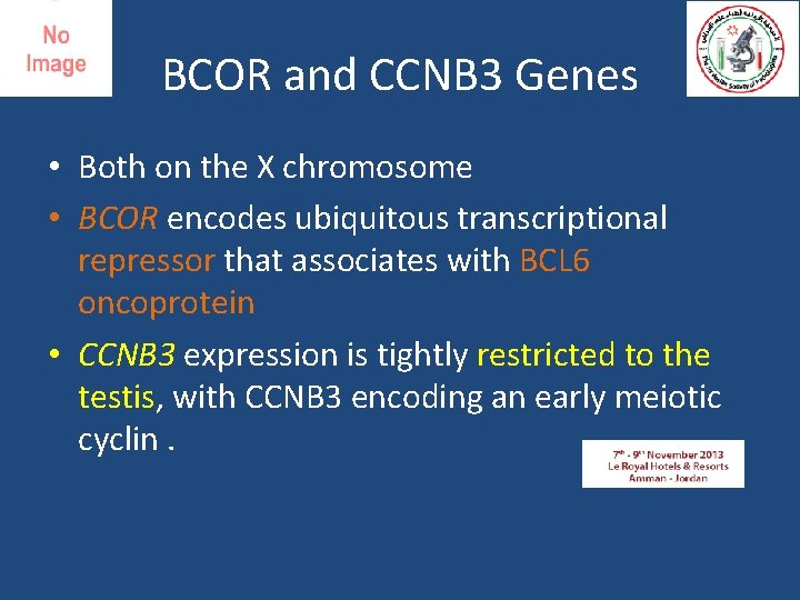 BCOR and CCNB 3 Genes • Both on the X chromosome • BCOR encodes