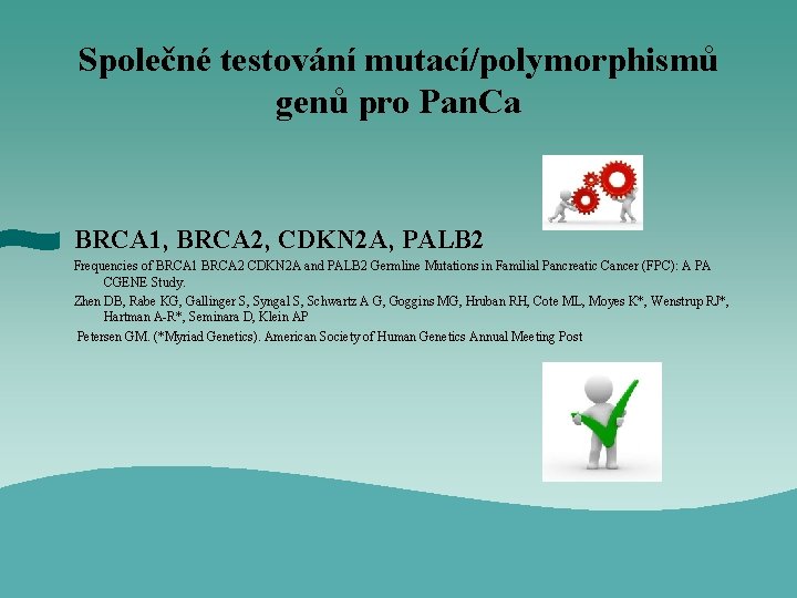 Společné testování mutací/polymorphismů genů pro Pan. Ca BRCA 1, BRCA 2, CDKN 2 A,