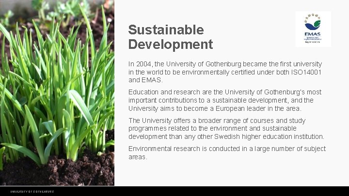 Sustainable Development In 2004, the University of Gothenburg became the first university in the