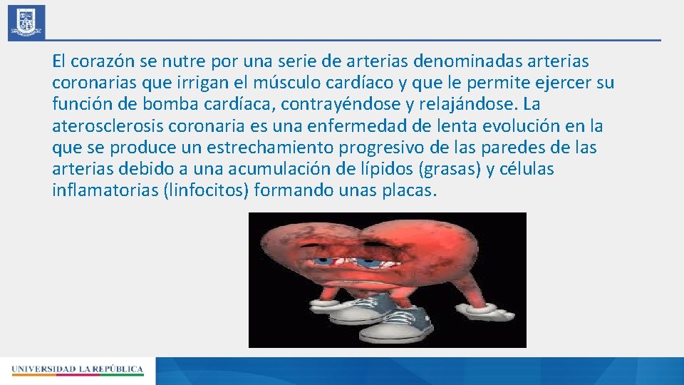 El corazón se nutre por una serie de arterias denominadas arterias coronarias que irrigan