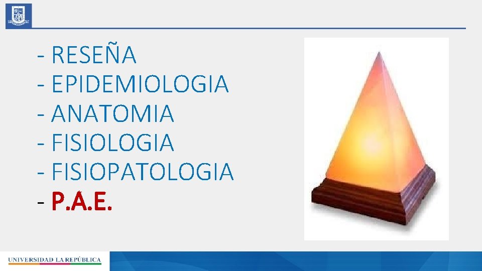 - RESEÑA - EPIDEMIOLOGIA - ANATOMIA - FISIOLOGIA - FISIOPATOLOGIA - P. A. E.