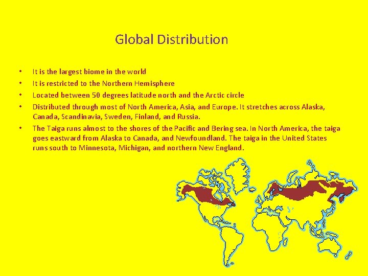 Global Distribution • • • It is the largest biome in the world It