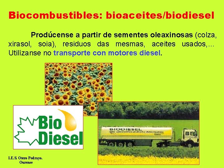 Biocombustibles: bioaceites/biodiesel Prodúcense a partir de sementes oleaxinosas (colza, xirasol, soia), residuos das mesmas,