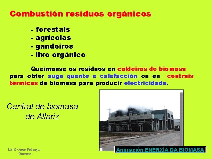 Combustión residuos orgánicos forestais - agrícolas - gandeiros - lixo orgánico - Queímanse os
