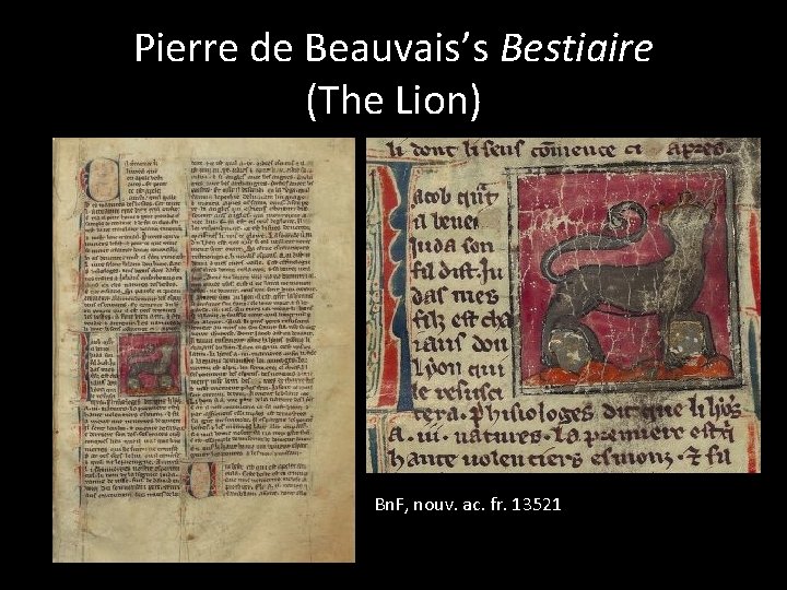 Pierre de Beauvais’s Bestiaire (The Lion) Bn. F, nouv. ac. fr. 13521 