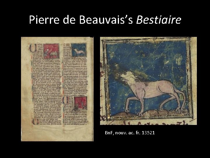 Pierre de Beauvais’s Bestiaire Bn. F, nouv. ac. fr. 13521 