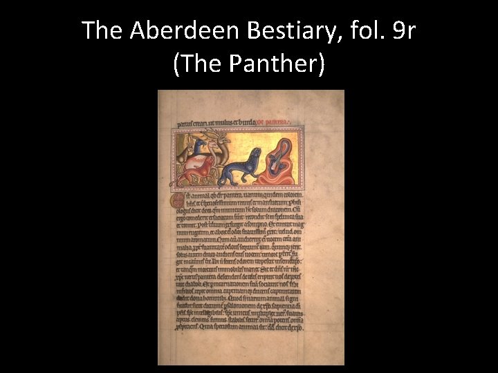 The Aberdeen Bestiary, fol. 9 r (The Panther) 
