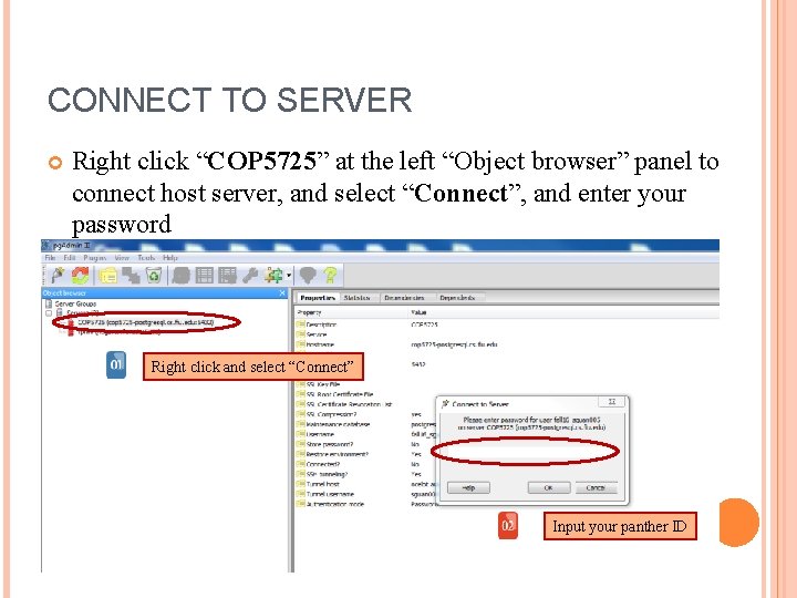 CONNECT TO SERVER Right click “COP 5725” at the left “Object browser” panel to