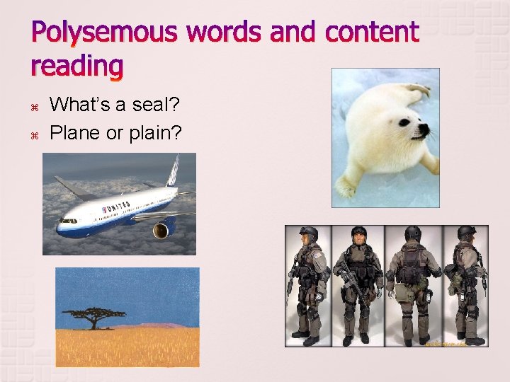 Polysemous words and content reading What’s a seal? Plane or plain? 