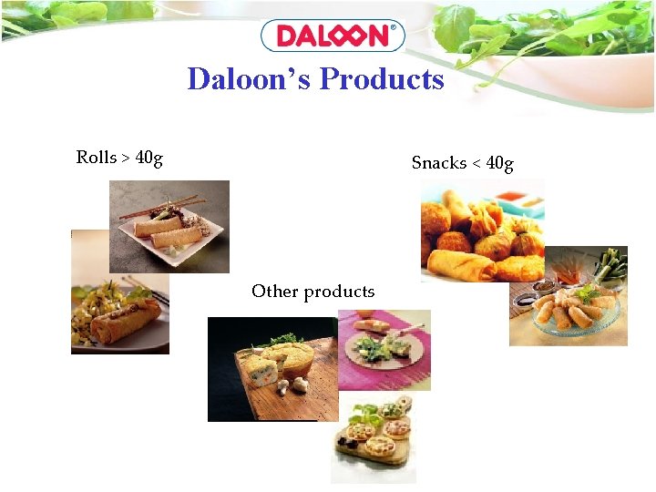 Daloon’s Products Rolls > 40 g Snacks < 40 g Other products 