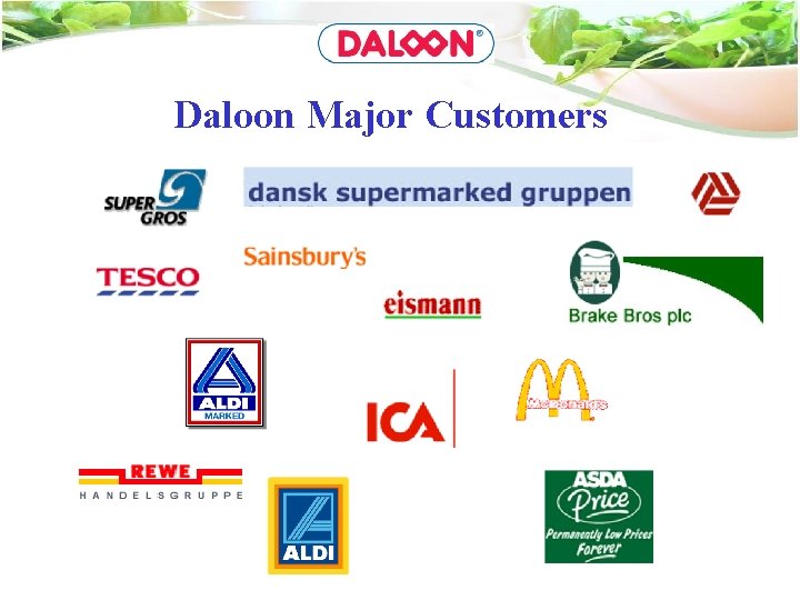 Daloon Major Customers 