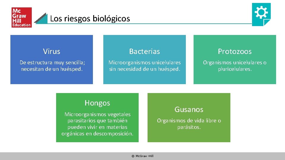 Los riesgos biológicos Virus Bacterias Protozoos De estructura muy sencilla; necesitan de un huésped.