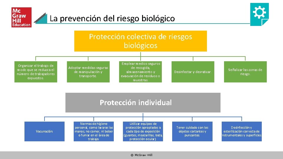 La prevención del riesgo biológico Protección colectiva de riesgos biológicos Organizar el trabajo de