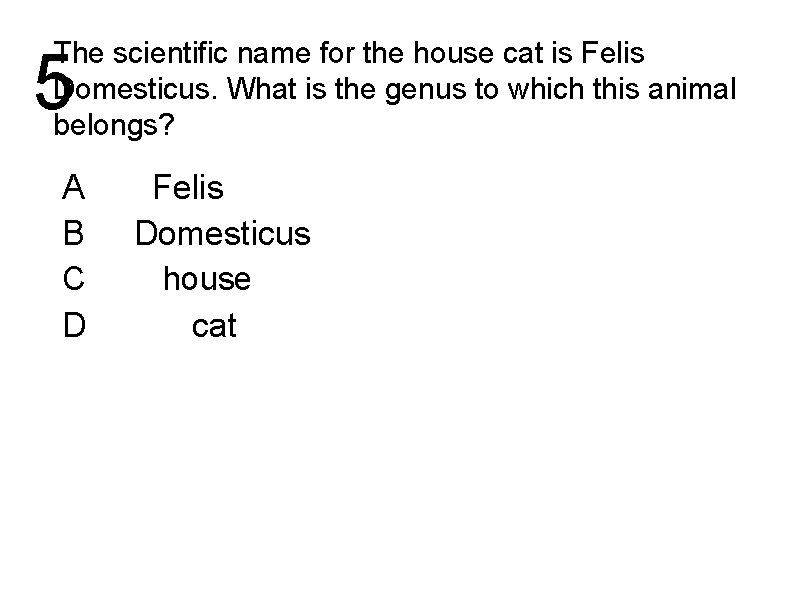 The scientific name for the house cat is Felis Domesticus. What is the genus