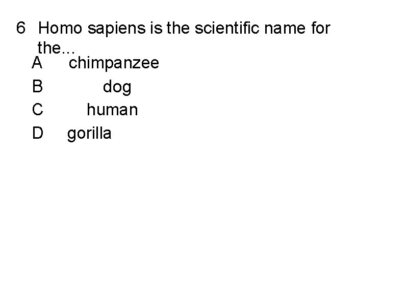 6 Homo sapiens is the scientific name for the. . . A chimpanzee B