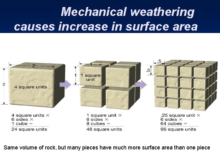 Mechanical weathering causes increase in surface area Same volume of rock, but many pieces