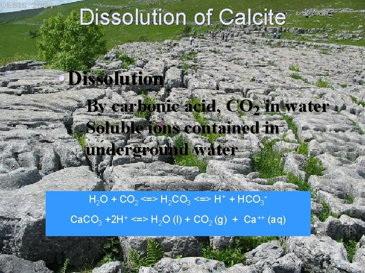 Dissolution of Calcite • Dissolution –By carbonic acid, CO 2 in water Soluble ions