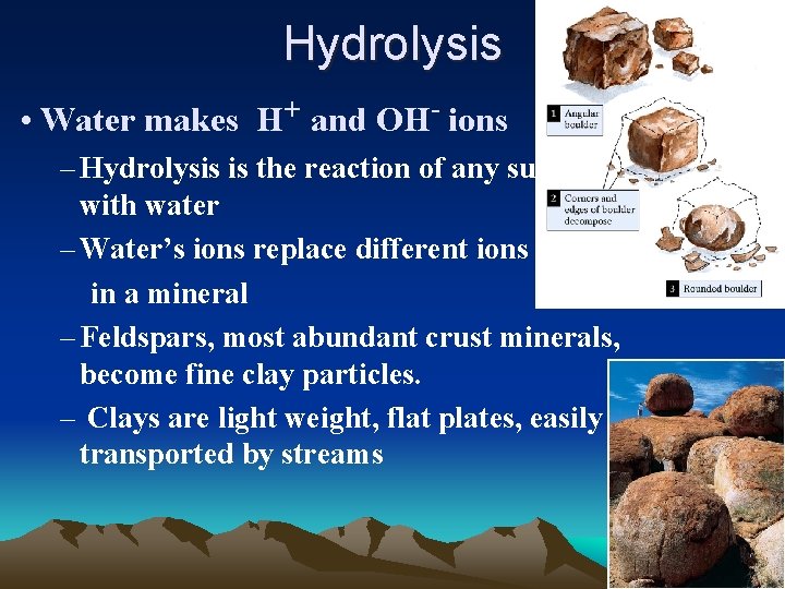 Hydrolysis • Water makes H+ and OH- ions – Hydrolysis is the reaction of