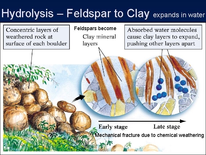 Hydrolysis – Feldspar to Clay expands in water Feldspars become Mechanical fracture due to