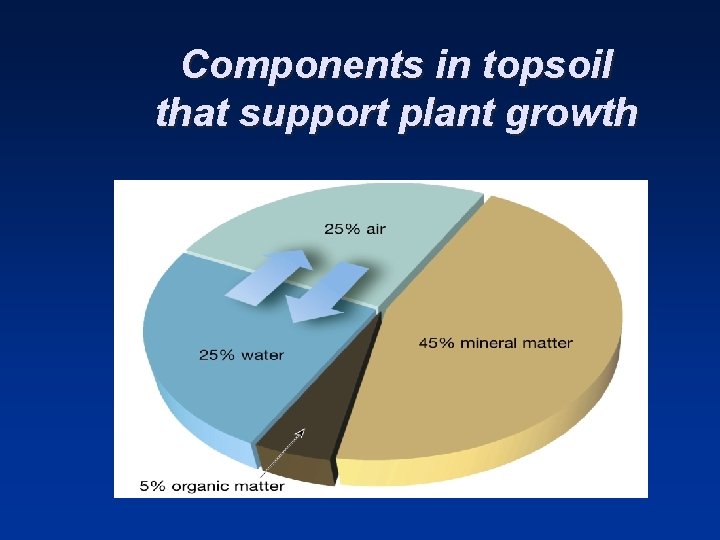 Components in topsoil that support plant growth 