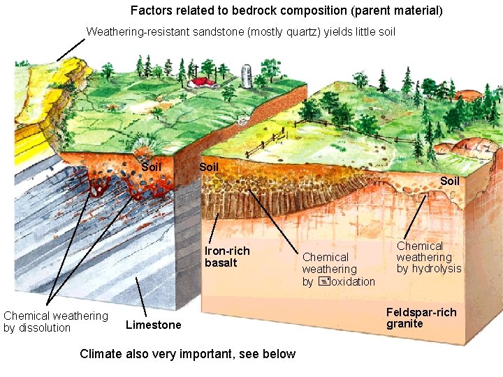 Factors related to bedrock composition (parent material) Weathering-resistant sandstone (mostly quartz) yields little soil