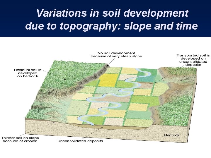Variations in soil development due to topography: slope and time 
